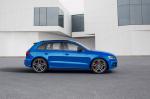 Audi SQ5 TDI Plus 2015 года (WW)